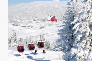 Istanbul: Bursa & Uludag Mountain Day Trip w/ Opt. Cable Car