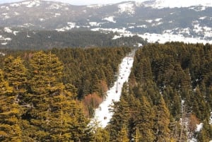 Istanbul: Bursa & Uludag Mountain Day Trip w/ Opt. Cable Car