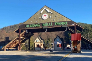 Istanbul: Bursa & Uludag Mountain Day Trip w/ Opt. Cable Car