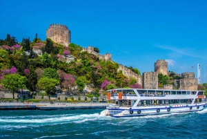 İstanbul: Bus Tour with Cable Car, Bosporus Cruise, & Lunch