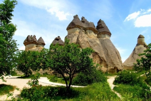 Istanbul: Cappadocia Guided Full=Day Trip by Plane
