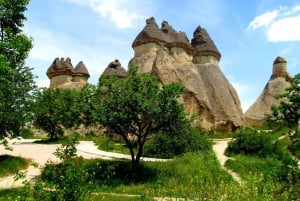 Istanbul: Cappadocia Guided Full=Day Trip by Plane