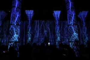 Istanbul: Cistern of Theodosius Entry Ticket and Audio Guide