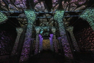 Istanbul: Cistern of Theodosius Entry Ticket and Audio Guide