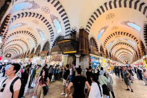 Istanbul: City Highlights- Skip Lines- All tickets included