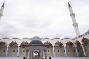 Istanbul: City Hightlights Bus Tour and Bosphorus Cruise