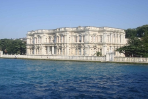 Istanbul: City Hightlights Bus Tour and Bosphorus Cruise