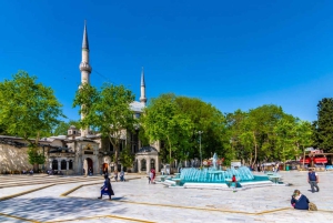 Istanbul: City Hightlights Bus Tour and Bosphorus Cruise