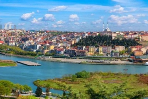 Istanbul: City Hightlights Bus Tour and Bosphorus Cruise