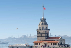 Istanbul: City Hightlights Bus Tour and Bosphorus Cruise