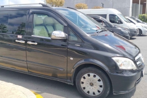 Istanbul City Tour: Private Car Hire with a Driver