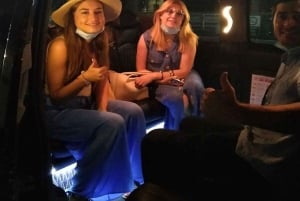 Istanbul City Tour: Private Car Hire with a Driver