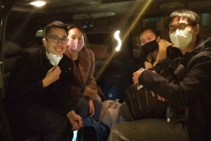 Istanbul City Tour: Private Car Hire with a Driver