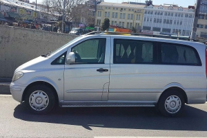 Istanbul City Tour: Private Car Hire with a Driver