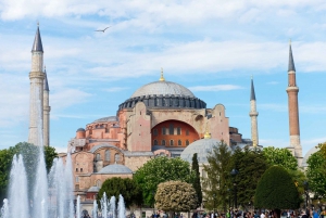 Istanbul Port: City Sights Tour for Cruise Ship Passengers