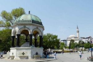 Istanbul Port: City Sights Tour for Cruise Ship Passengers