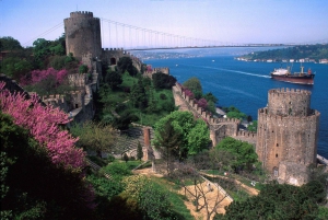 Istanbul Full-Day Princess Island Tour: Büyükada & Kınalıada