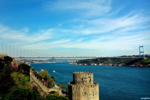 Istanbul Full-Day Princess Island Tour: Büyükada & Kınalıada