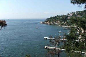 Istanbul: Day Trip to the Princes' Islands