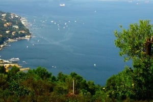 Istanbul: Day Trip to the Princes' Islands