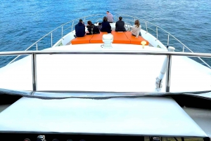 Istanbul: Daytime Bosphorus Yacht Cruise with Fruit & Snacks