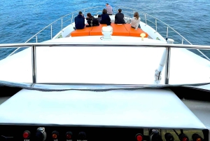 Istanbul: Daytime Bosphorus Yacht Cruise with Fruit & Snacks