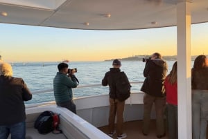 Istanbul: Daytime or Sunset Sightseeing Cruise & Audio Guide