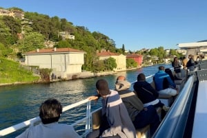 Istanbul: Daytime or Sunset Sightseeing Cruise & Audio Guide
