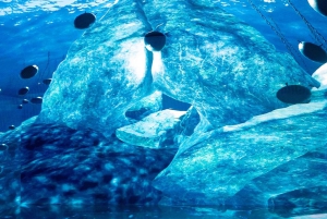 Istanbul: Digital Experience Museum Entry Ticket