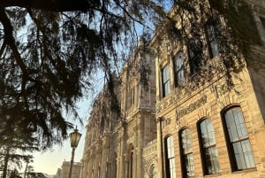 Istanbul: Dolmabahce Palace and Harem Fast-Track & Audio