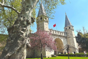 Istanbul: Ephesus, Pamukkale, Cappadocia 8-Day Trip by Plane