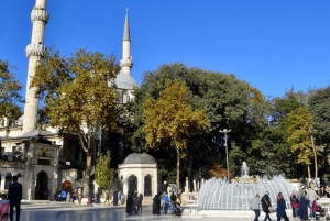 Istanbul: Europe and Asia Tour By Bus And Bosphorus Cruise