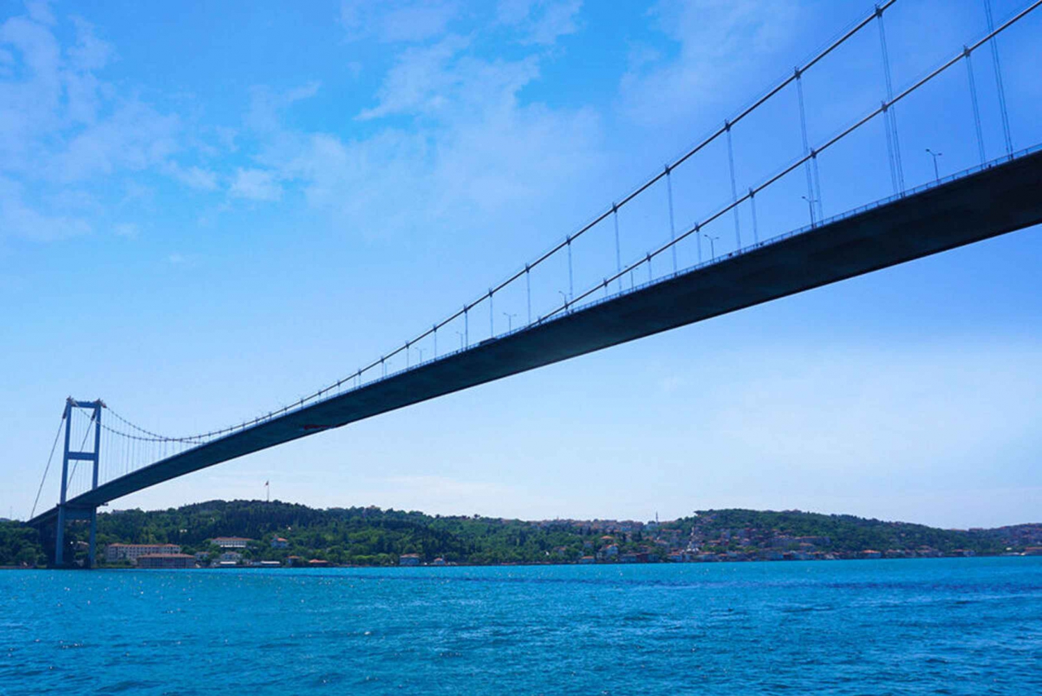 Istanbul Bosphorus: 3-Hour Day Cruise's with Asian Side Stop