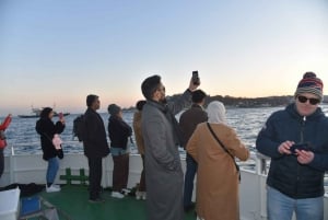 Istanbul: Explore Bosphorous on a Sunset Boat Cruise