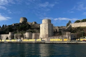 Istanbul: Explore Bosphorous on a Sunset Boat Cruise