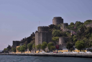 Istanbul Bosphorus: 3-Hour Day Cruise's with Asian Side Stop