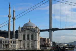 Istanbul Bosphorus: 3-Hour Day Cruise's with Asian Side Stop