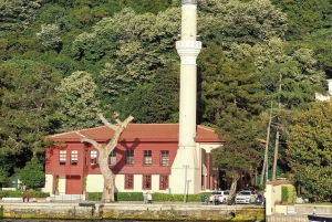 Istanbul: Explore Europe and Asia by Guided Bus and Boat