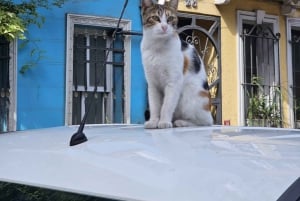 Istanbul: Fener & Balat Guided Tour through Colored Streets