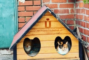 Istanbul: Fener, Balat, Old Greek and Jewish Quarter Tour