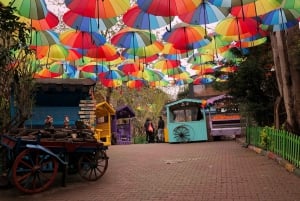 Istanbul: Fener, Balat, Old Greek and Jewish Quarter Tour