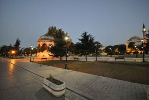 Istanbul Food and Culture Tour: Dinner at Local Family