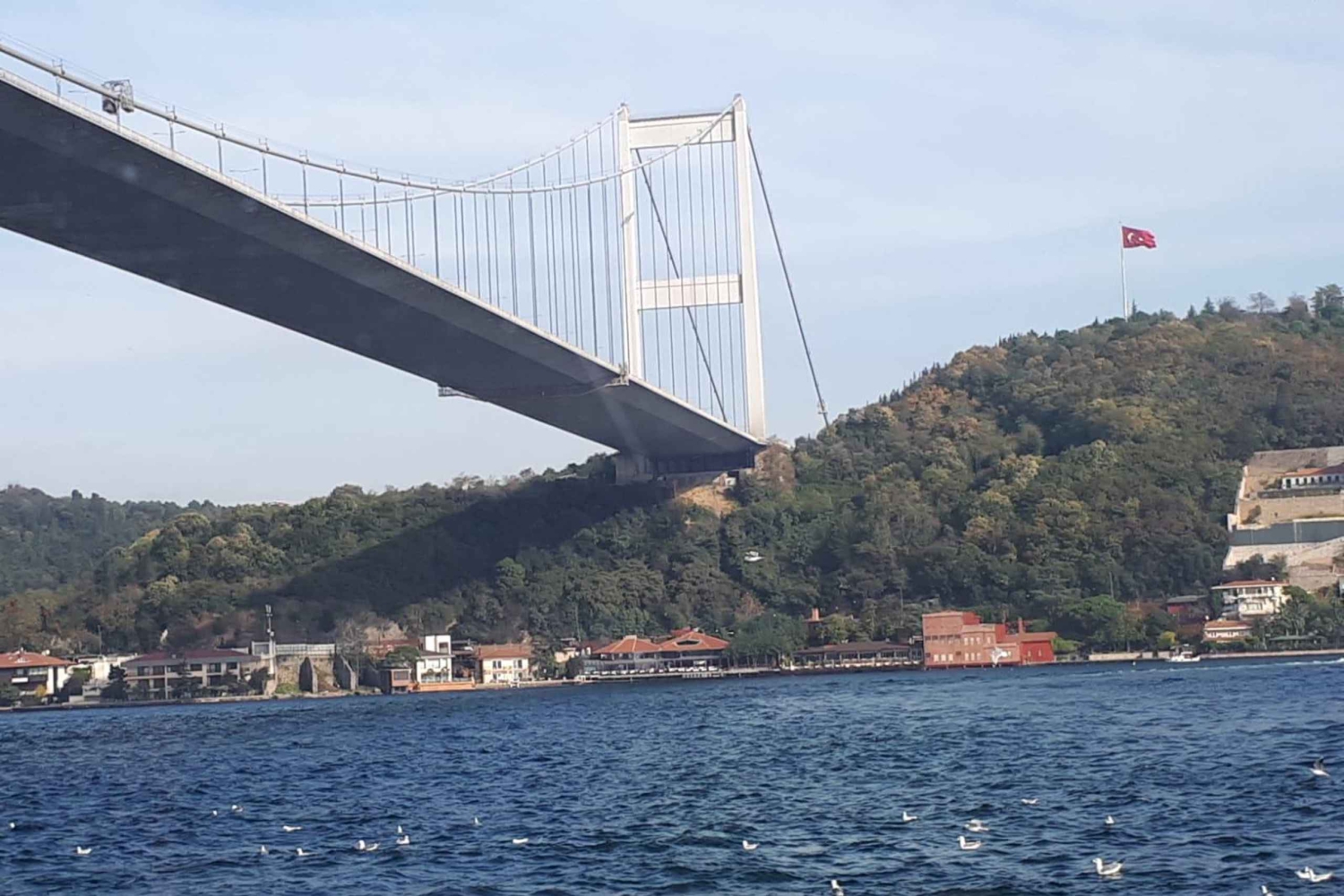 Istanbul: Full-Day City Tour with Bosphorus Cruise and Lunch