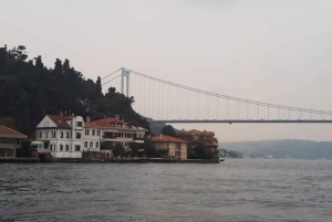 Istanbul: Full-Day City Tour with Bosphorus Cruise and Lunch