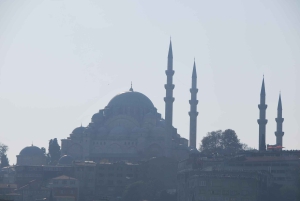 Istanbul: Full-Day City Tour with Bosphorus Cruise and Lunch