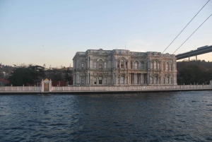 Istanbul: Full-Day City Tour with Bosphorus Cruise and Lunch