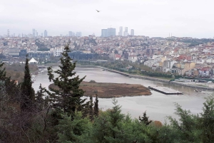 Istanbul: Full-Day City Tour with Bosphorus Cruise and Lunch