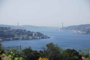 Istanbul: Full-Day City Tour with Bosphorus Cruise and Lunch