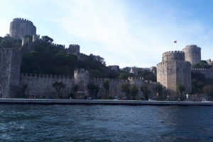 Istanbul: Full-Day City Tour with Bosphorus Cruise and Lunch