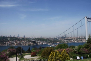 Istanbul: Full-Day City Tour with Bosphorus Cruise and Lunch